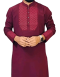 Embroidery Panjabi